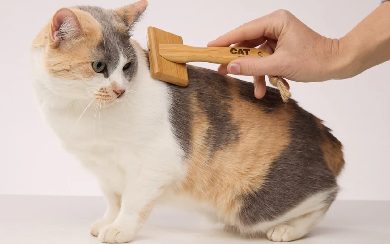 cat-brush